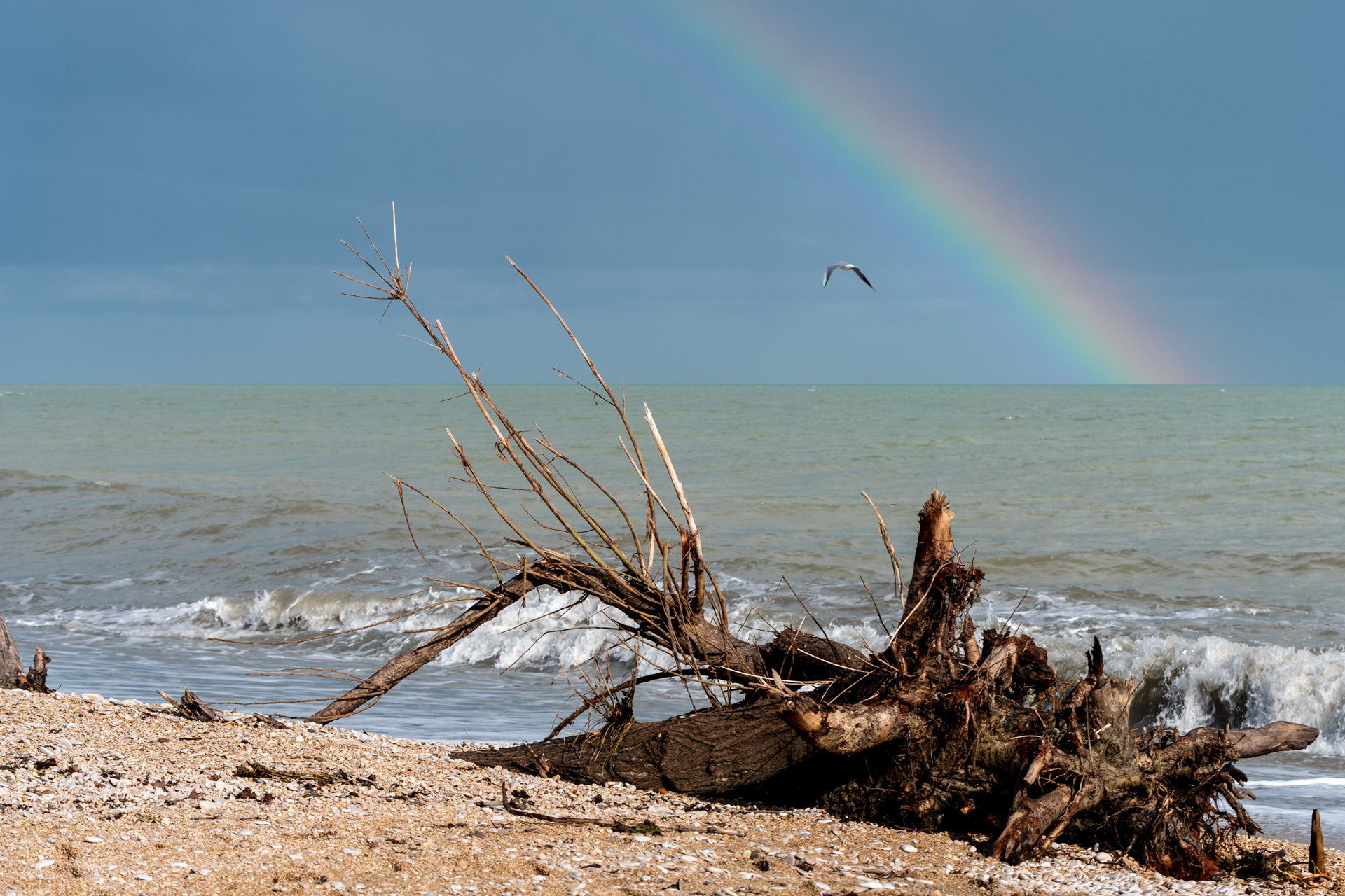 Il mare d'inverno _Loredana Bertè)_ di Luporosso