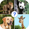 Guess The Animal: Animals Quiz icon