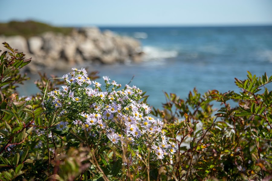 Park Narodowy Kejimkujik National Park Seaside