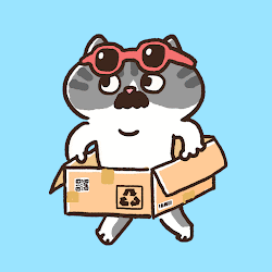 Running Box Cat #0034