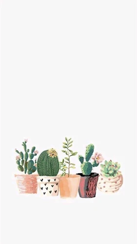 Download Cute Cactus Wallpaper Hd Apk Latest Version For Android