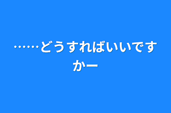 ……どうすればいいですかー