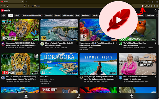 Lightweight YouTube screenshot 2