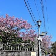 【台北陽明山】禾豐農園