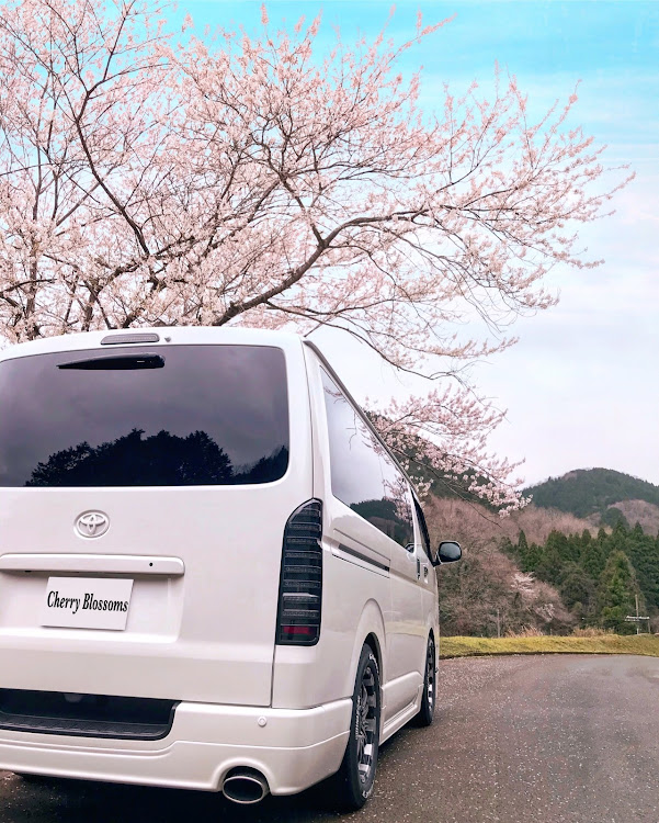 ハイエースバンのハイエース・ハイエースバン・桜・桜と愛車・桜とコラボに関するカスタム事例の投稿画像1枚目
