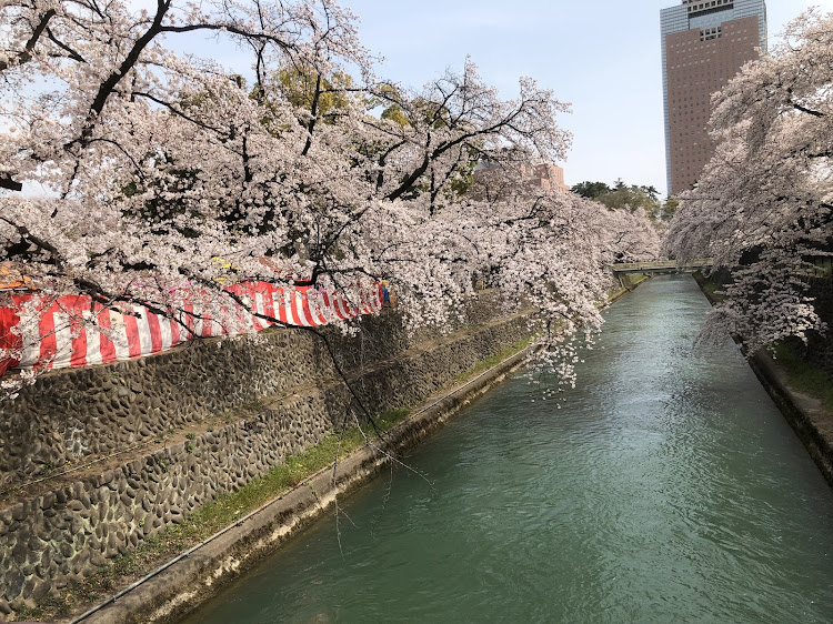 デミオの桜とコラボ・ドライブ・夕焼けコラボに関するカスタム事例の投稿画像3枚目