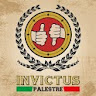 Invictus Palestre icon