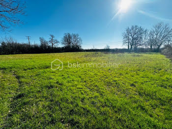 terrain à Chantenay-Saint-Imbert (58)