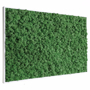 Tableau végétal stabilisé Lichen vert naturel 60 x 80 cm