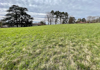 terrain à Coligny (01)