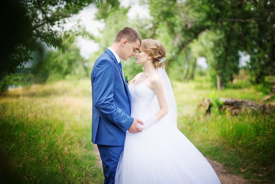 結婚式の写真家Elena Sterkhova (sterhovaelena)。2015 7月24日の写真