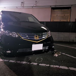 エリシオン RR1