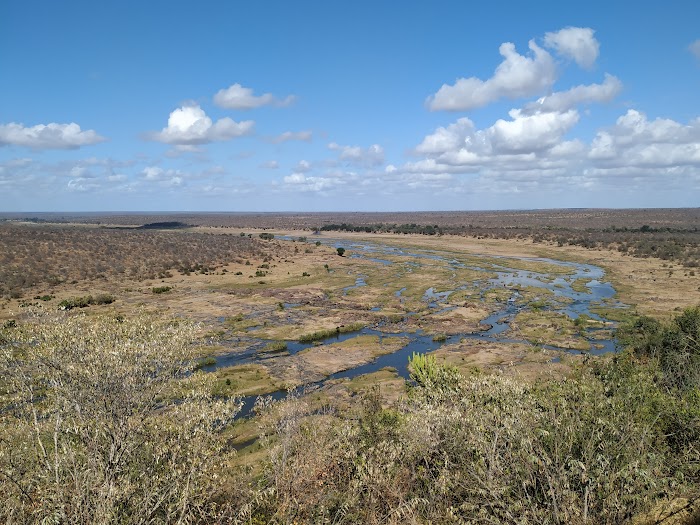 KRUGER DÍA 6: A OLIFANTS DESDE SATARA - SUDÁFRICA, DOS SEMANAS POR EL KRUGER Y LA COSTA SUR (5)