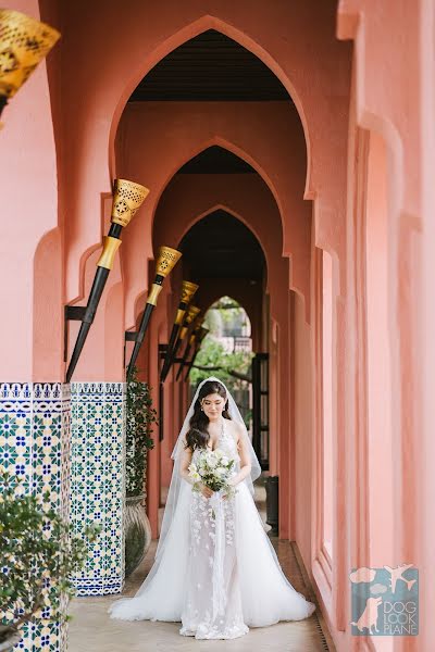 Fotógrafo de casamento Nattapol Jaroonsak (doglookplane). Foto de 19 de janeiro 2020