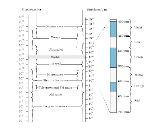 Solution Image