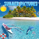 Download Summer pictures For PC Windows and Mac 1.0