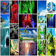 Download 3D Wallpapers 4K For PC Windows and Mac 1.0