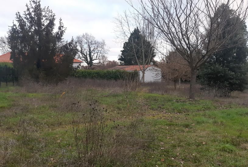  Vente Terrain + Maison - Terrain : 850m² - Maison : 95m² à Montberon (31140) 