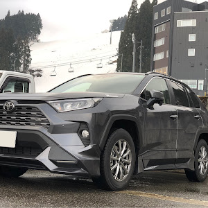 RAV4 MXAA54