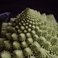 Il Broccolo di Fibonacci  di 