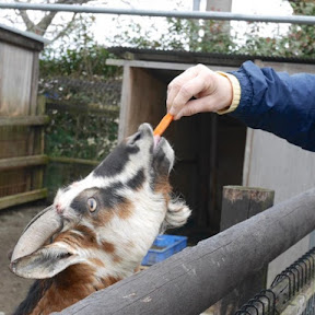 「見る・採る・食べる」を一度に体験できる！滋賀県竜王町『道の駅 アグリパーク竜王』