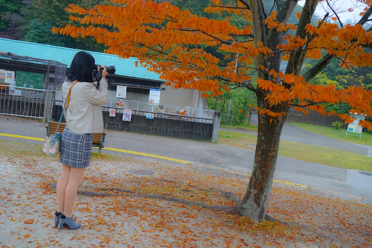 レガシィツーリングワゴンの東公園・マクロ・ふじ子はどこへ・・・・カメラ女子・一眼に関するカスタム事例の投稿画像15枚目