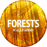 Cover Image of Скачать Wallpaper with forest 14.02.2019-forest APK