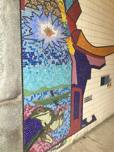 Frog Mosaic