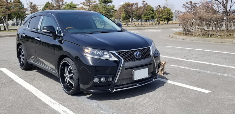 RXの#レクサス・レクサスRX・#レクサス男子・愛犬とドライブ・#ヨークシャーテリアに関するカスタム事例の投稿画像1枚目