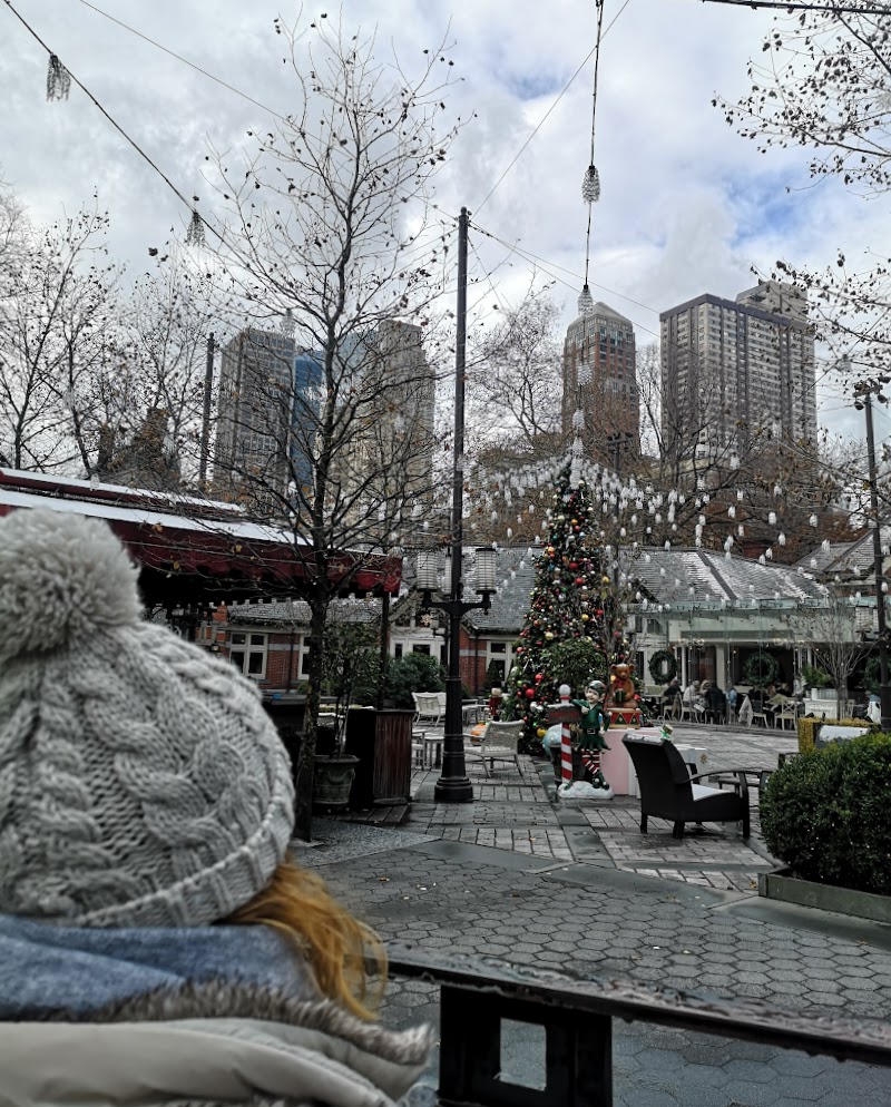 Nueva York en Navidad. Diciembre 2019 - Blogs de USA - Aniversario en Nueva York. Central Park y Top of The Rock (9)