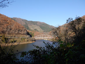 伊勢川橋まで林道歩き