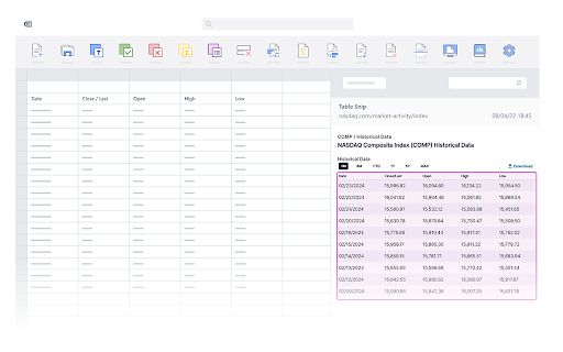 DataSnipper WebSnip Extension