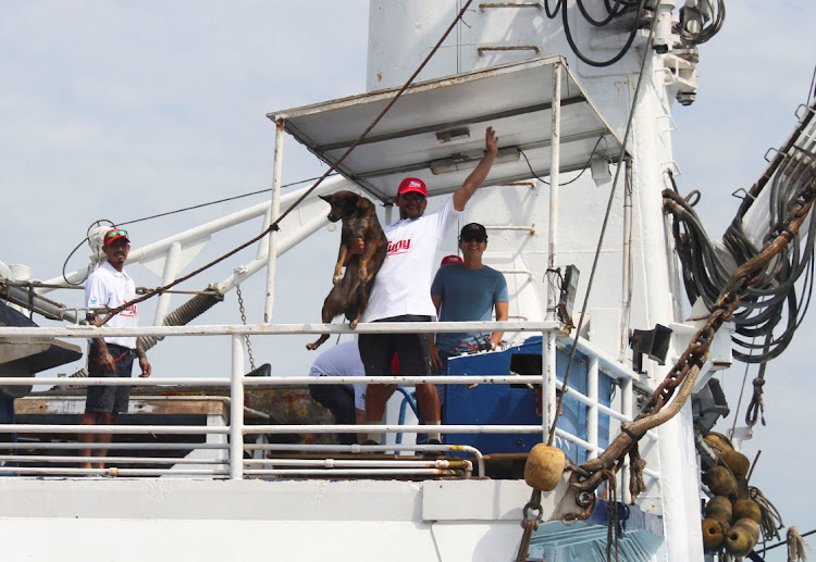 A man holds Bella, the dog that was rescued with the Australian sailor Timothy Lindsay Shaddock, 54, after being adrift for over two months, as they arrive aboard a Mexican tuna trawler, in Manzanillo, Mexico, July 18, 2023.