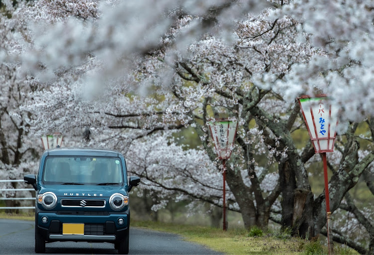 の投稿画像3枚目