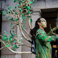 L'albero magico di 