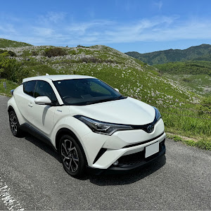 C-HR ZYX10