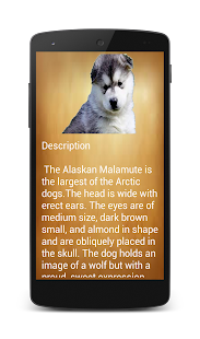 How to download Pets Info(Complete) 1.0 unlimited apk for laptop