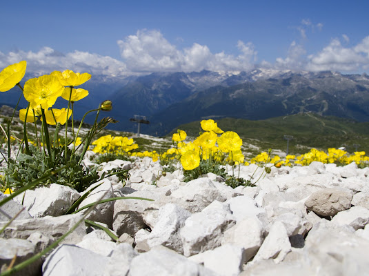 Rocce e Monti di Fabrizio Di Giovanni