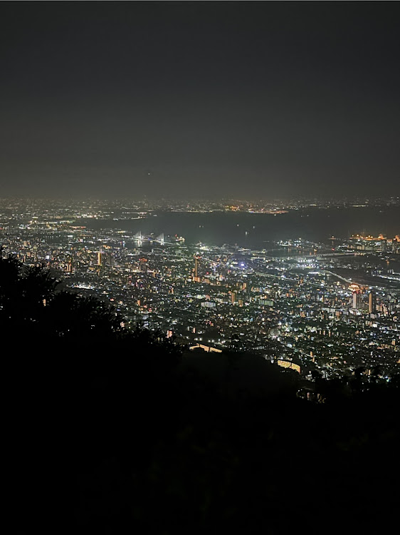 ヴォクシーの1000万ドルの夜景・摩耶山掬星台・京セラドーム・サザン最高に関するカスタム事例の投稿画像2枚目