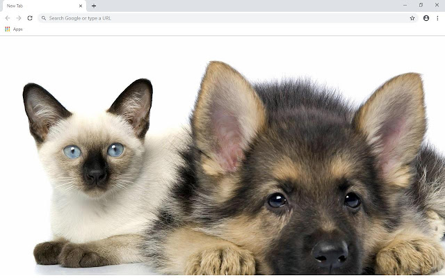 Cute Cats & Dogs Wallpapers and New Tab