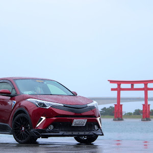 C-HR NGX50