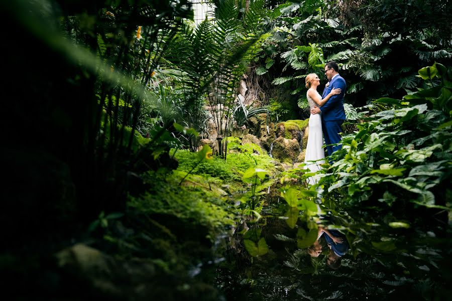 Fotógrafo de bodas Jan Glatte (jagla). Foto del 5 de enero