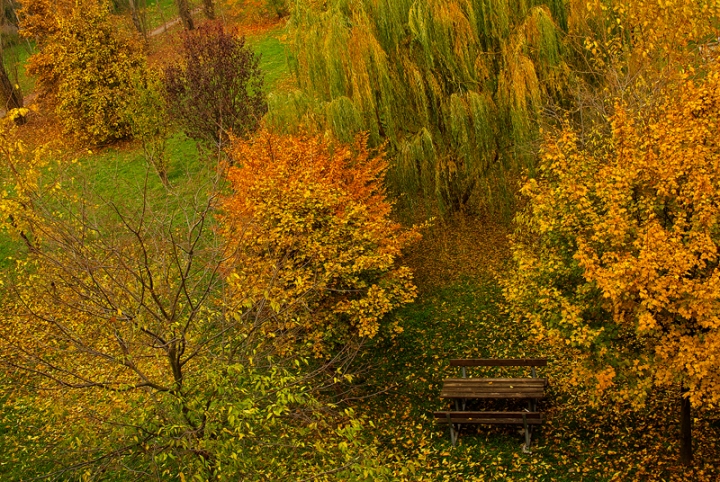 Impressioni d'AUTUNNO... di Francesca Malavasi