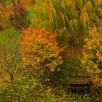 Impressioni d'AUTUNNO... di 