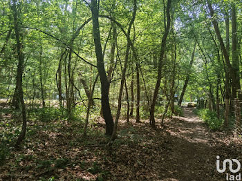 terrain à Bois-le-Roi (77)