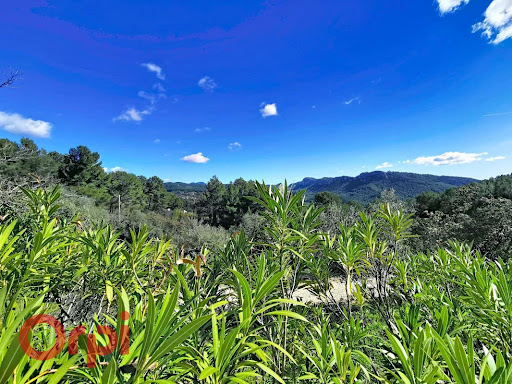 Maison avec piscine et terrasse 4