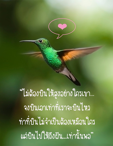 คำคมชีวิต ใหม่ล่าสุด