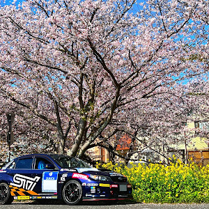 インプレッサ WRX STI GVB