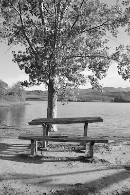 in riva al lago di irina sirbu