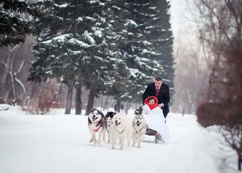 結婚式の写真家Yuriy Emelyanov (kedr)。2014 1月11日の写真